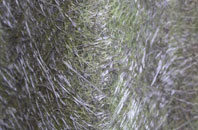 Greenfaulds fibreglass roof work